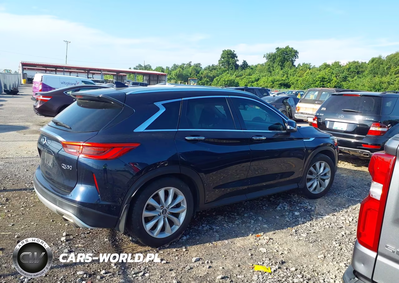2019 Infiniti Qx50 Luxe VIN:3PCAJ5M10KF118393 - 13