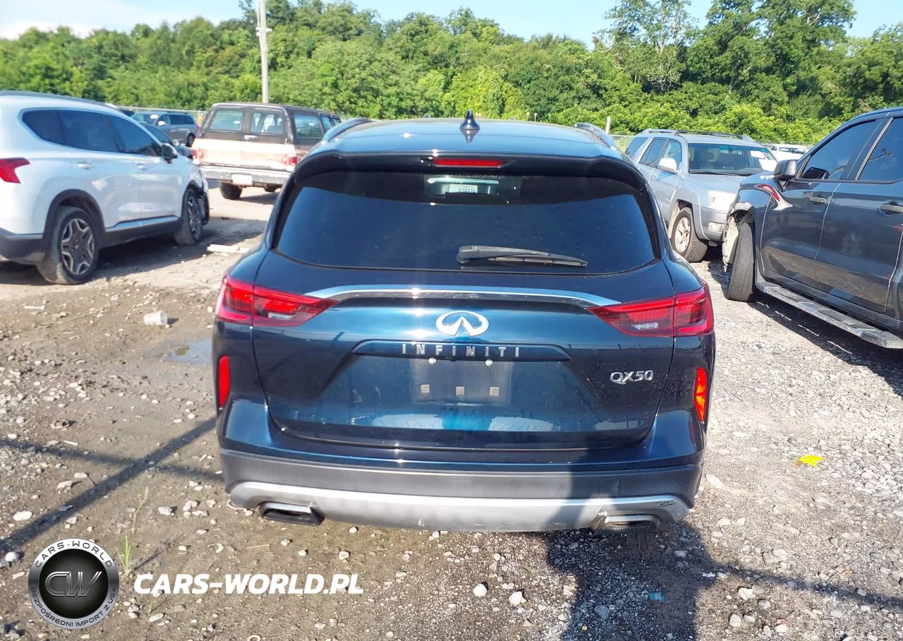 2019 Infiniti Qx50 Luxe VIN:3PCAJ5M10KF118393 - 16