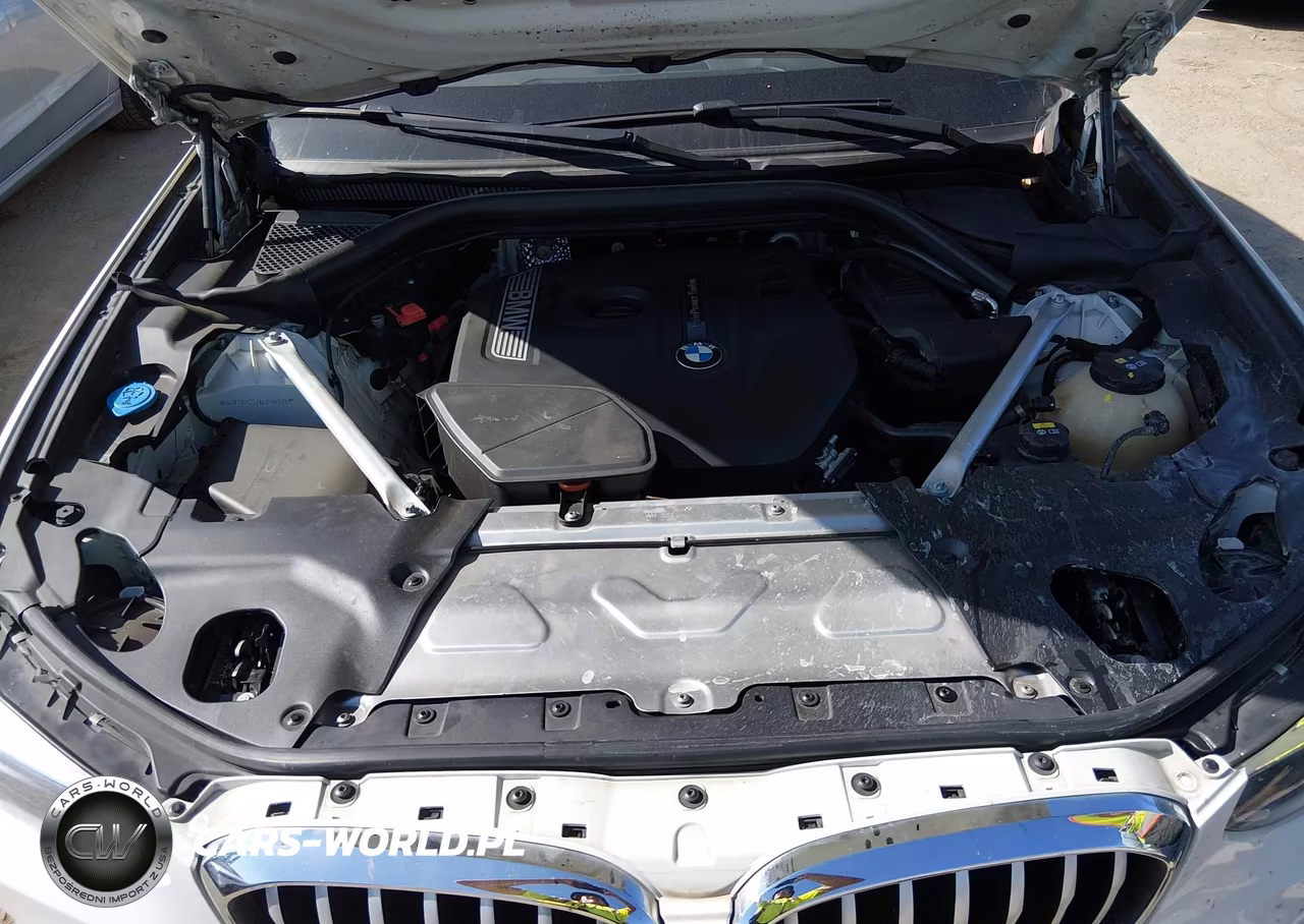 2019 BMW X3 Sdrive30I VIN:5UXTR7C52KLE96926 - 10