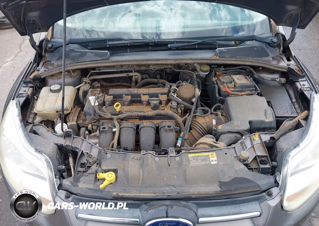 2013 Ford Focus Se VIN:1FADP3F21DL195804 - 10