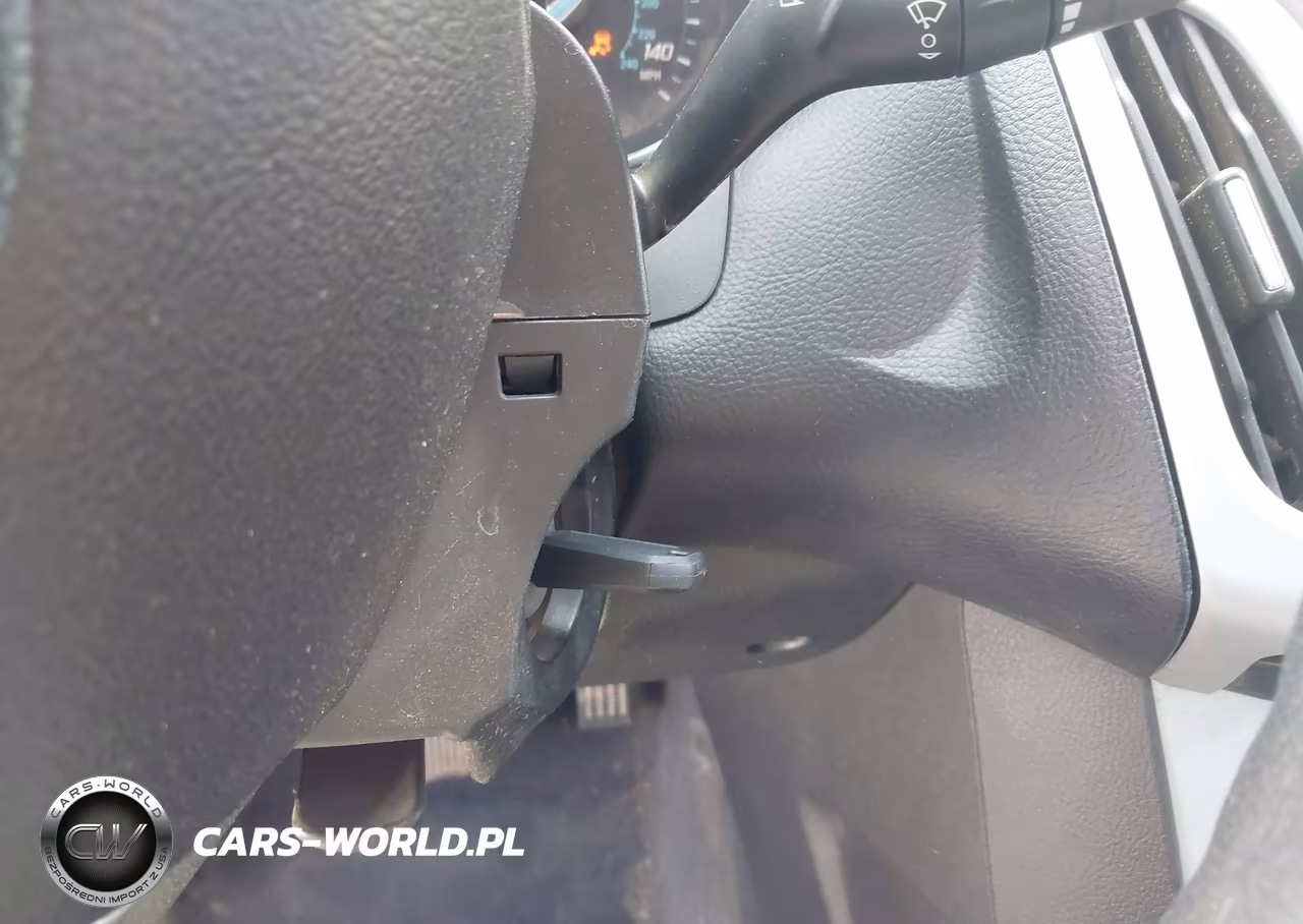 2013 Ford Focus Se VIN:1FADP3F21DL195804 - 11