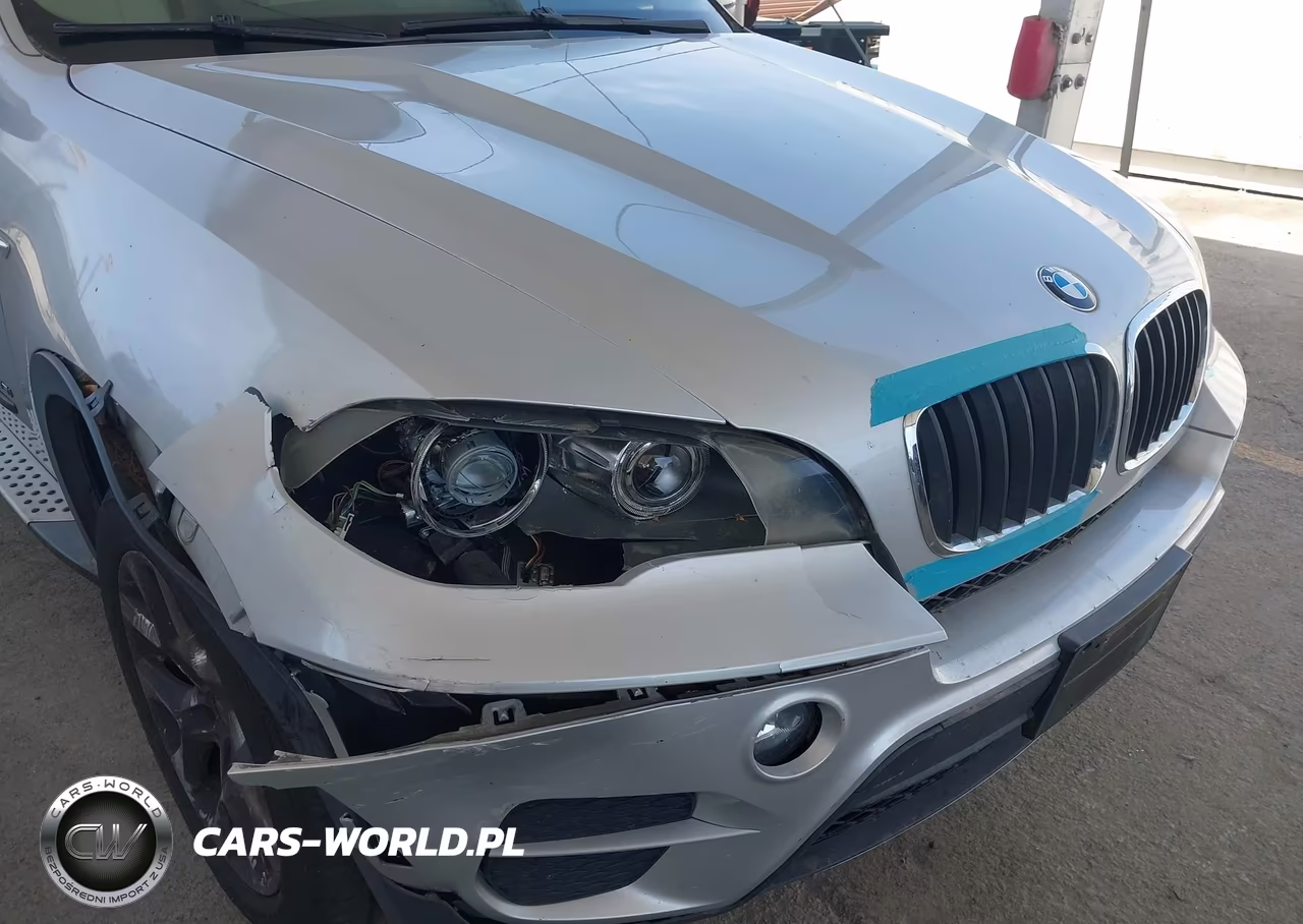2011 BMW X5 xDrive35I-xDrive35I Premium-xDrive35I Sport Activity VIN:5UXZV4C50BL740915 - 6