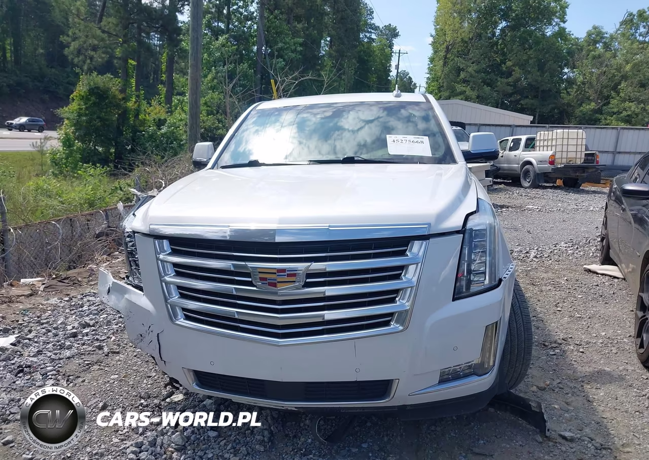 2018 Cadillac Escalade Platinum VIN:1GYS3DKJ2JR309361 - 12