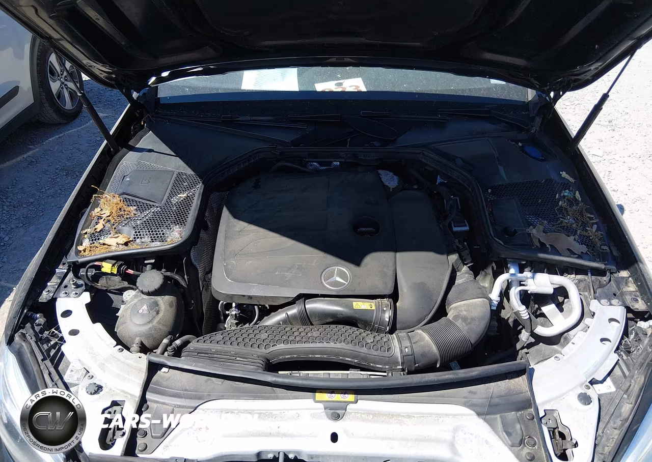 2020 Mercedes-Benz C 300 4Matic VIN:55SWF8EB7LU327744 - 10