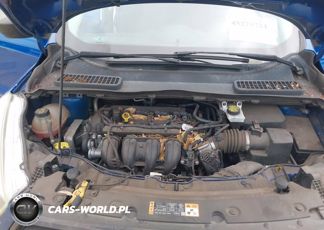 2017 Ford Escape S VIN:1FMCU0F70HUA09898 - 10