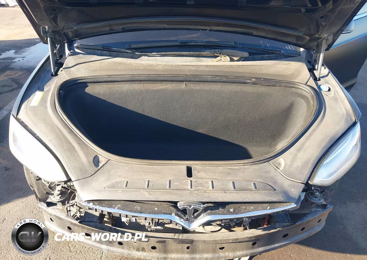 2016 Tesla Model X 60D-70D-75D-90D VIN:5YJXCAE26GF002935 - 10