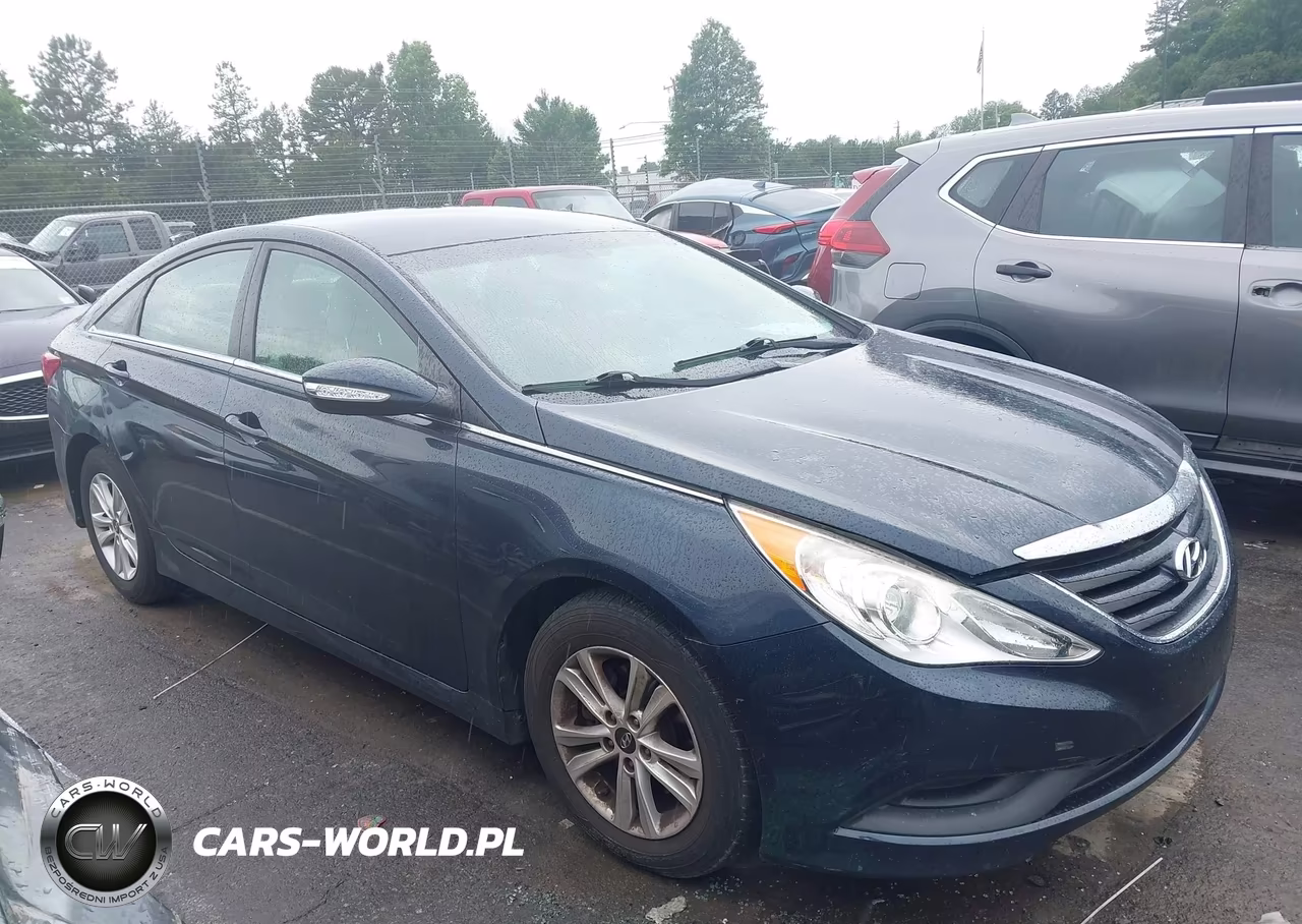 2014 Hyundai Sonata Gls VIN:5NPEB4AC0EH909754 - 13