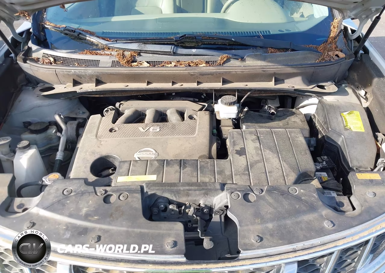 2011 Nissan Murano Le VIN:JN8AZ1MU8BW066023 - 10