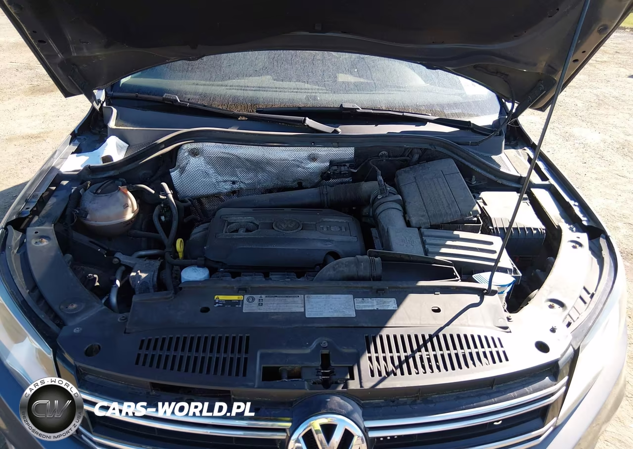2016 Volkswagen Tiguan S VIN:WVGBV7AX5GW587782 - 10