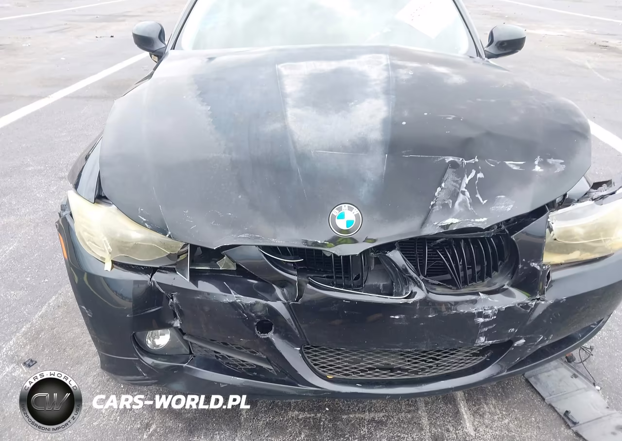 2009 BMW 328I VIN:WBAPH77549NL85447 - 12