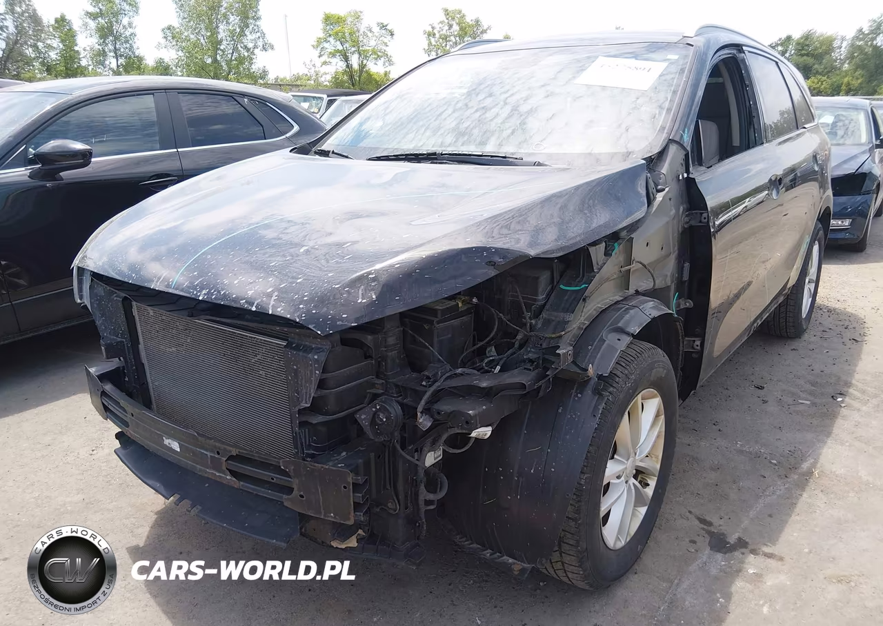 2016 Kia Sorento 2.4L Lx VIN:5XYPG4A38GG005008 - 6