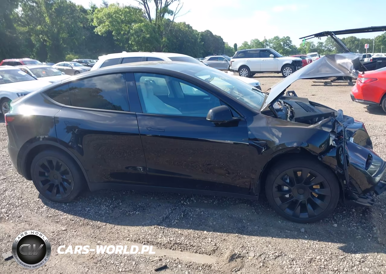 2024 Tesla Model Y Long Range Dual Motor All-Wheel Drive VIN:7SAYGDEE8RA219619 - 12