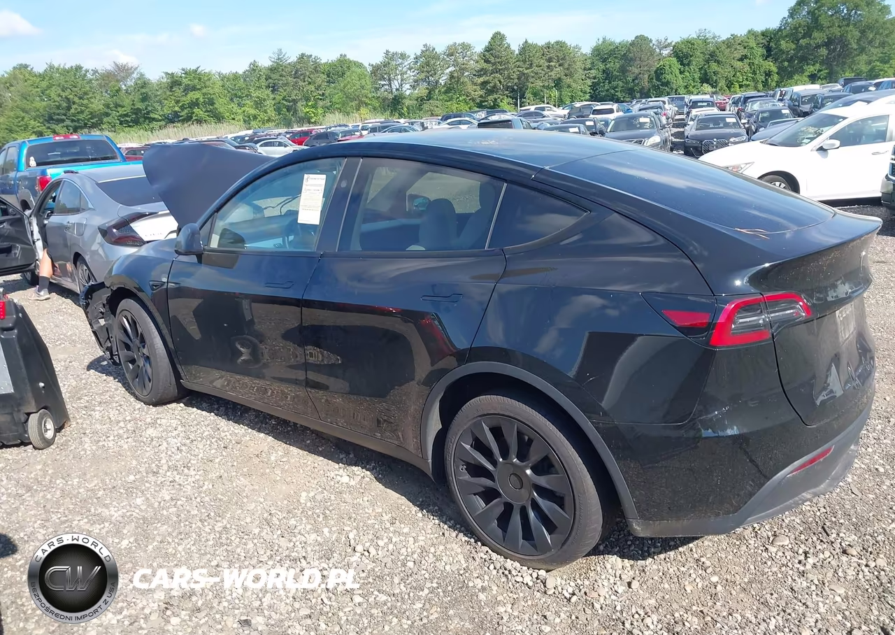 2024 Tesla Model Y Long Range Dual Motor All-Wheel Drive VIN:7SAYGDEE8RA219619 - 13