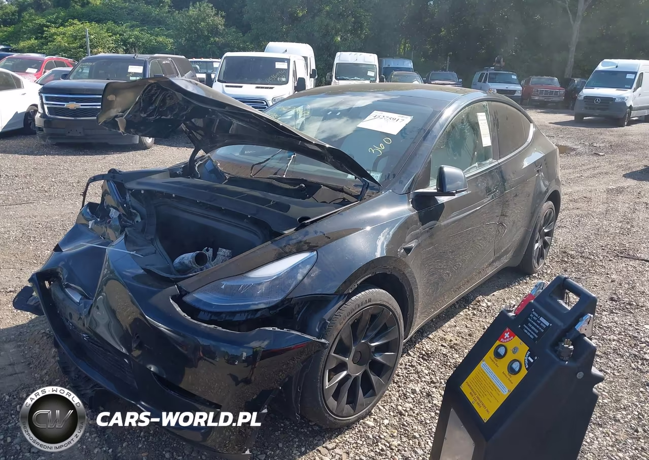 2024 Tesla Model Y Long Range Dual Motor All-Wheel Drive VIN:7SAYGDEE8RA219619 - 2