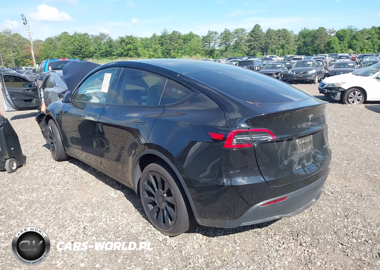 2024 Tesla Model Y Long Range Dual Motor All-Wheel Drive VIN:7SAYGDEE8RA219619 - 3