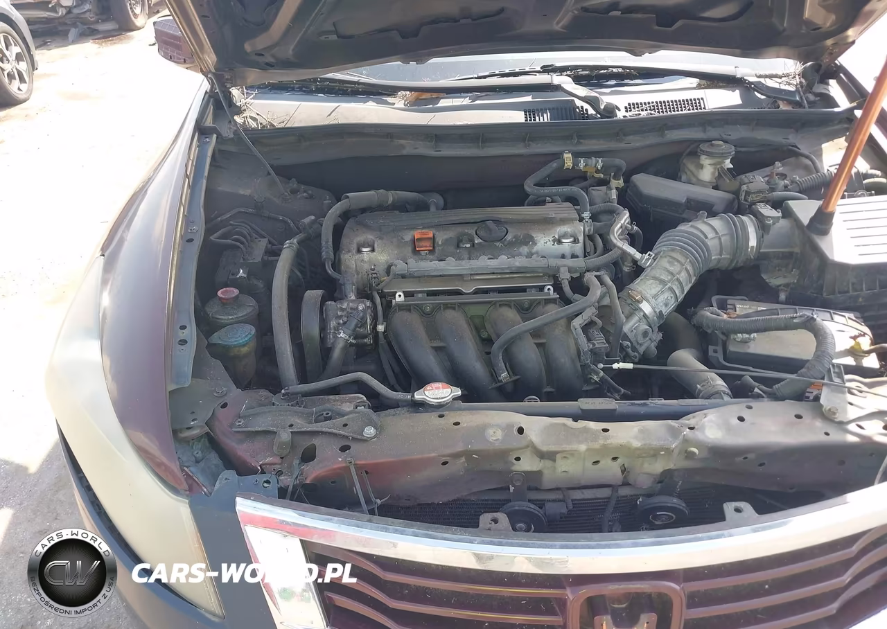 2010 Honda Accord 2.4 Lx VIN:1HGCP2F37AA037663 - 10