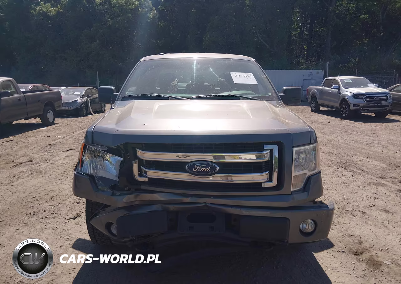 2014 Ford F-150 Stx VIN:1FTFX1EF9EKE15726 - 12