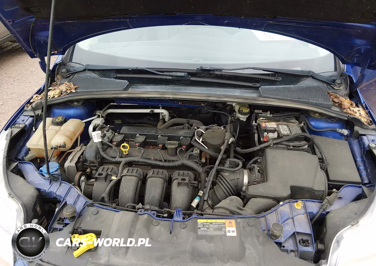 2014 Ford Focus Se VIN:1FADP3F2XEL219132 - 10
