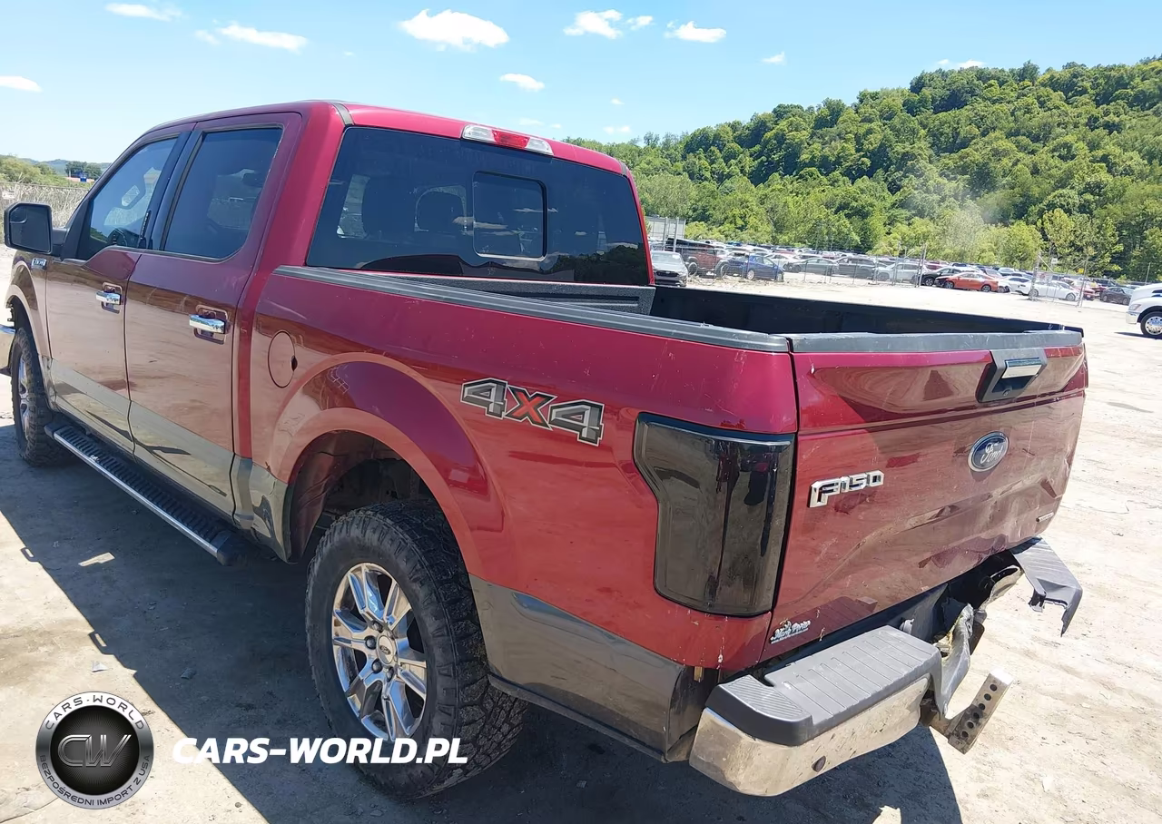 2016 Ford F-150 Xlt VIN:1FTEW1EF5GFB24330 - 3