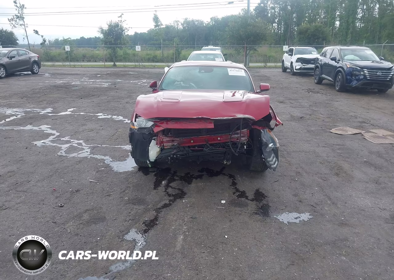 2019 Ford Mustang Ecoboost Premium VIN:1FA6P8TH3K5186604 - 12