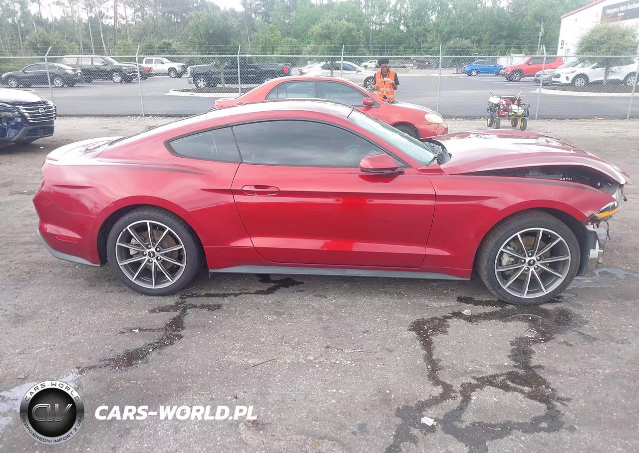 2019 Ford Mustang Ecoboost Premium VIN:1FA6P8TH3K5186604 - 13