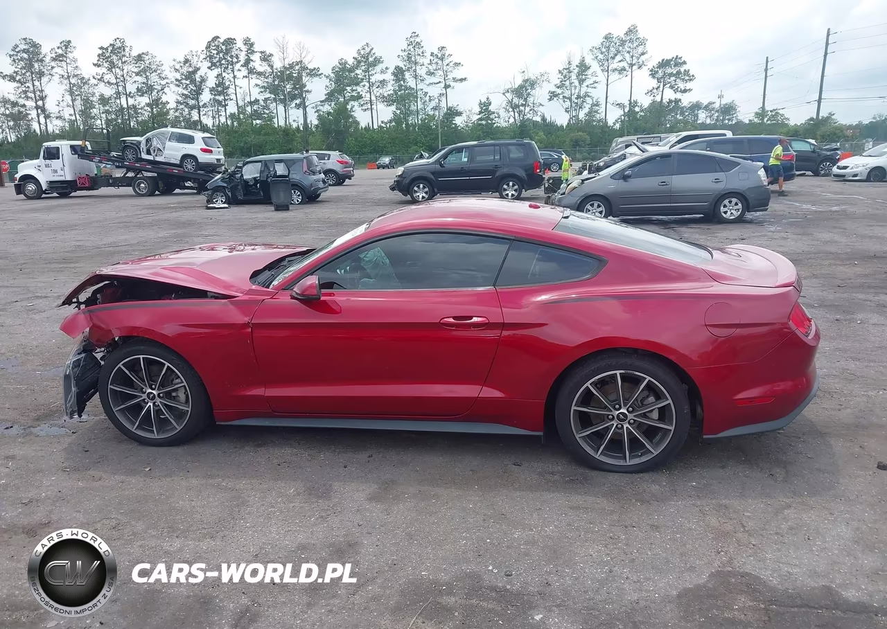 2019 Ford Mustang Ecoboost Premium VIN:1FA6P8TH3K5186604 - 14