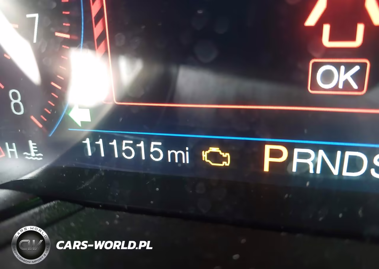 2019 Ford Mustang Ecoboost Premium VIN:1FA6P8TH3K5186604 - 15