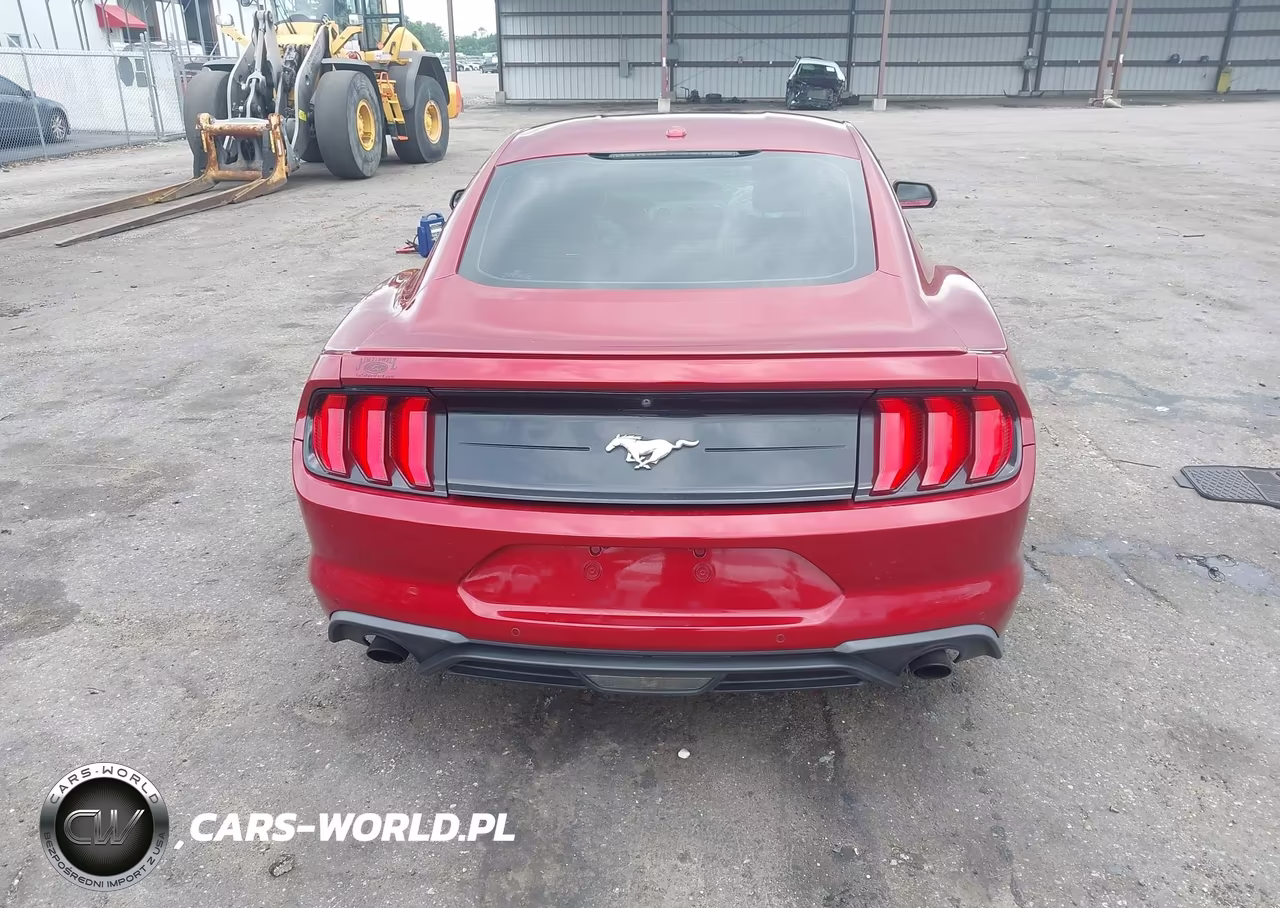 2019 Ford Mustang Ecoboost Premium VIN:1FA6P8TH3K5186604 - 16