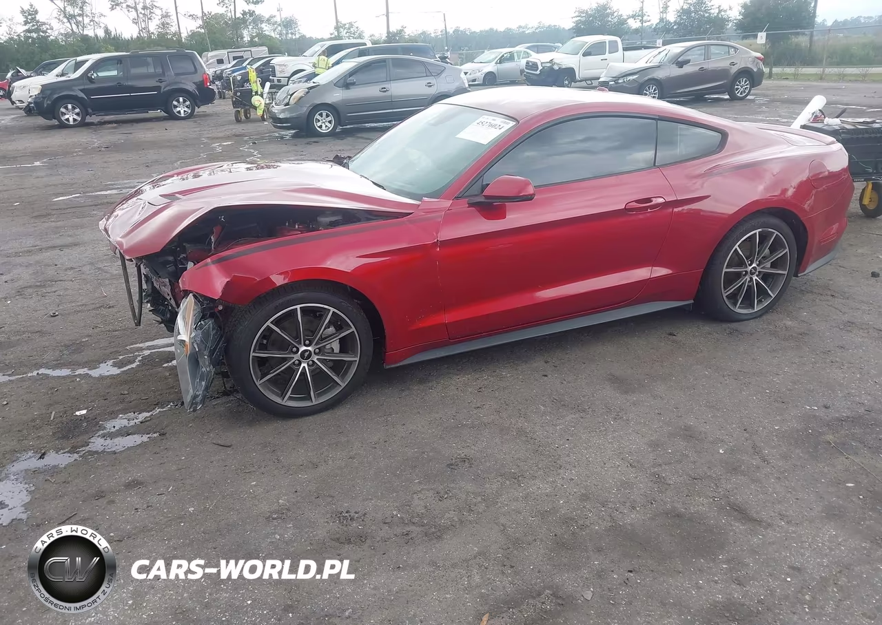2019 Ford Mustang Ecoboost Premium VIN:1FA6P8TH3K5186604 - 2