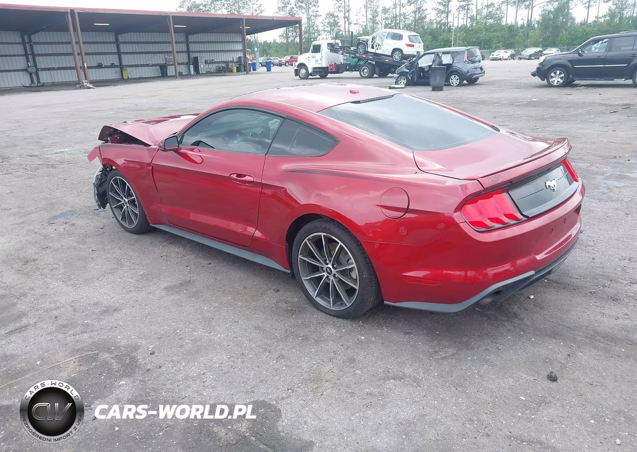 2019 Ford Mustang Ecoboost Premium VIN:1FA6P8TH3K5186604 - 3