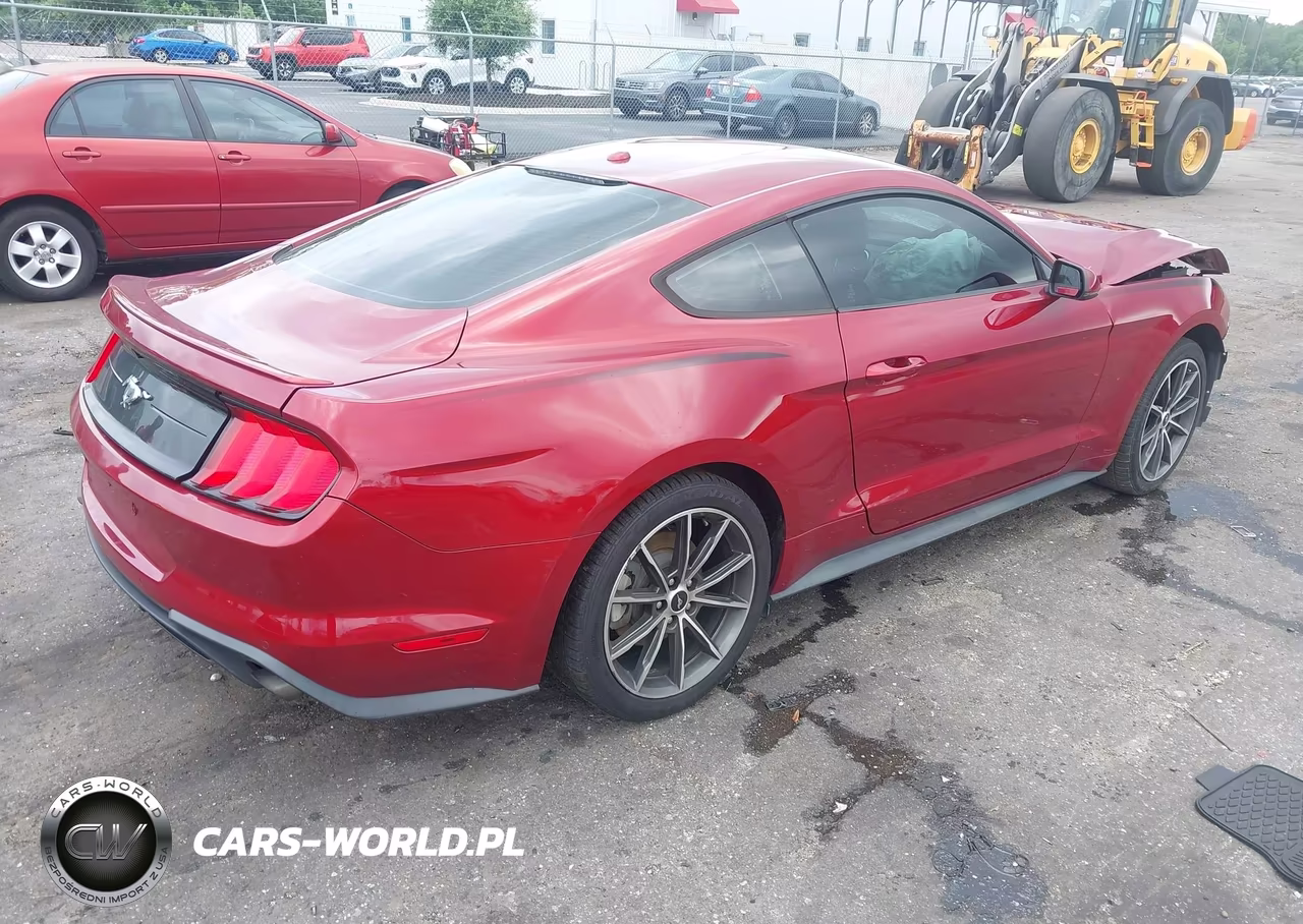 2019 Ford Mustang Ecoboost Premium VIN:1FA6P8TH3K5186604 - 4