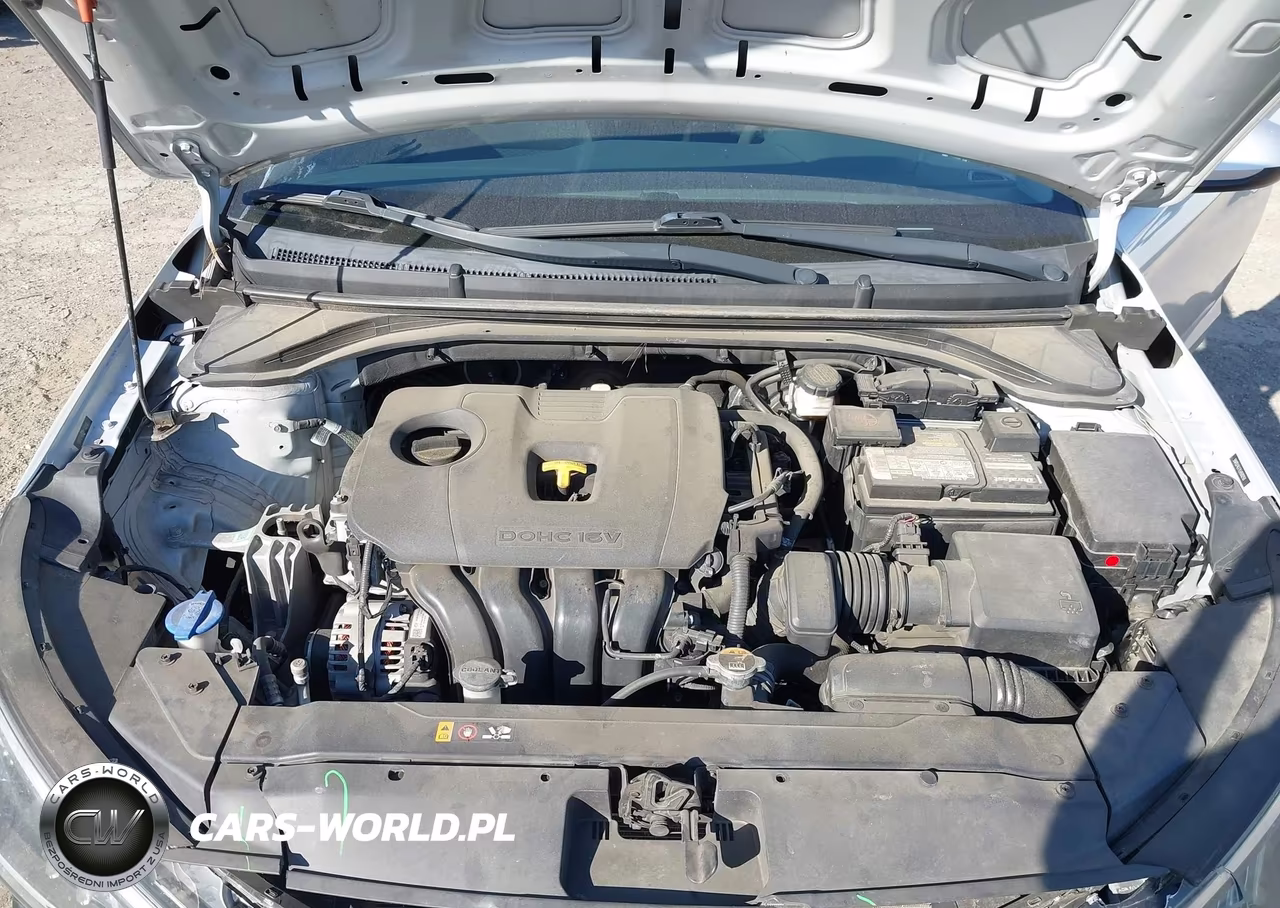 2020 Hyundai Elantra Se VIN:5NPD74LF7LH500250 - 10