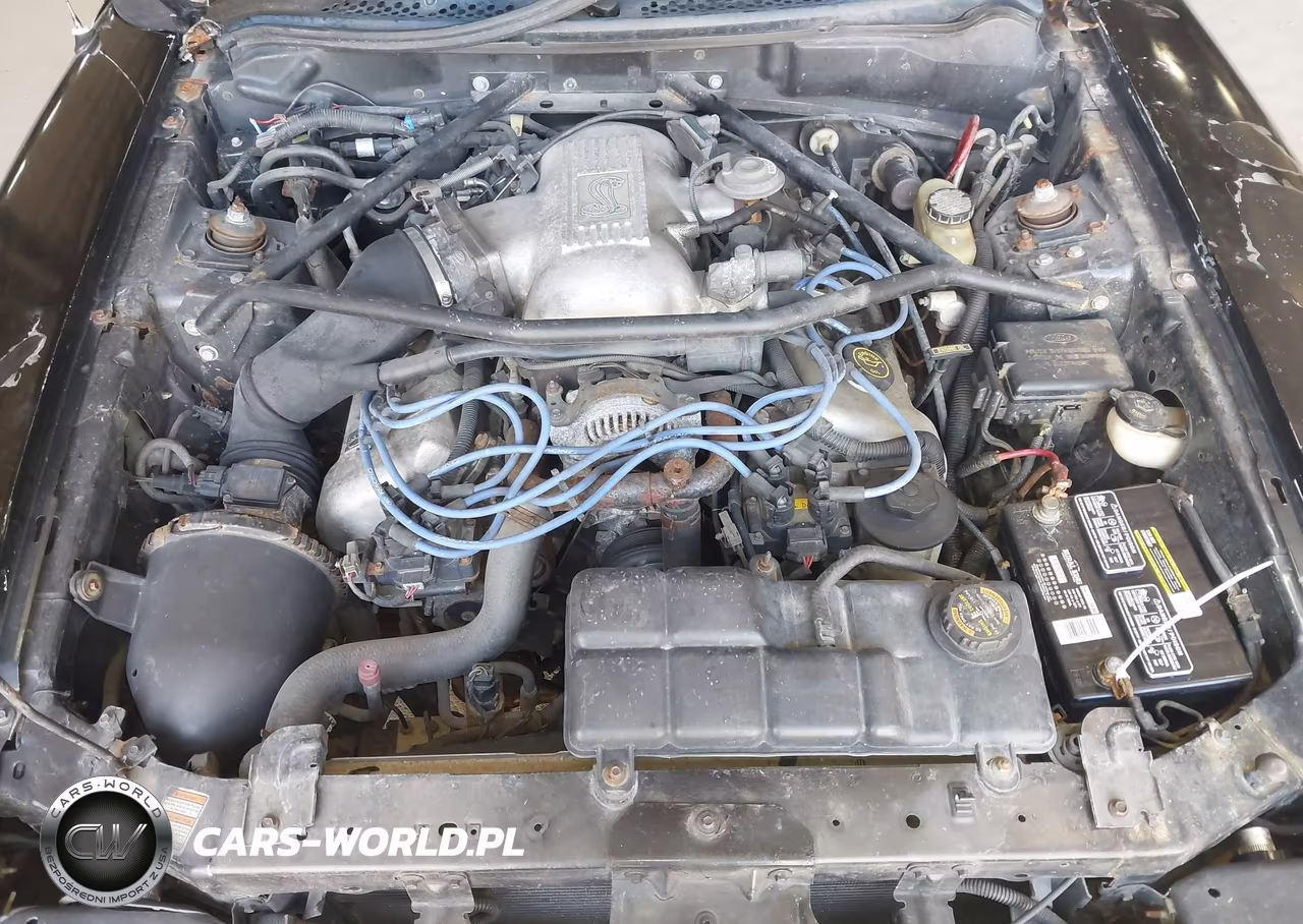 1998 Ford Mustang Svt Cobra VIN:1FAFP47V7WF162332 - 10