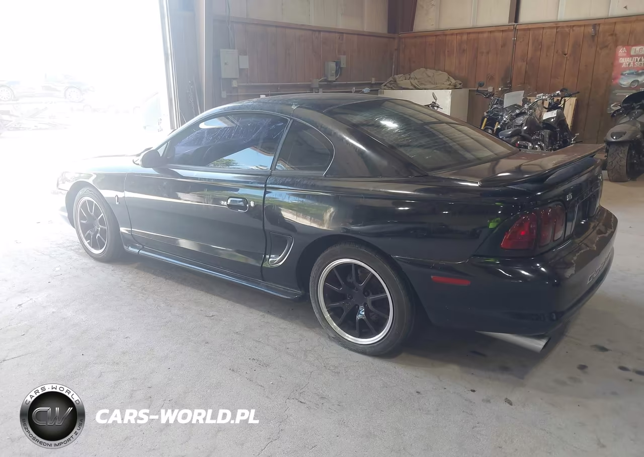 1998 Ford Mustang Svt Cobra VIN:1FAFP47V7WF162332 - 3