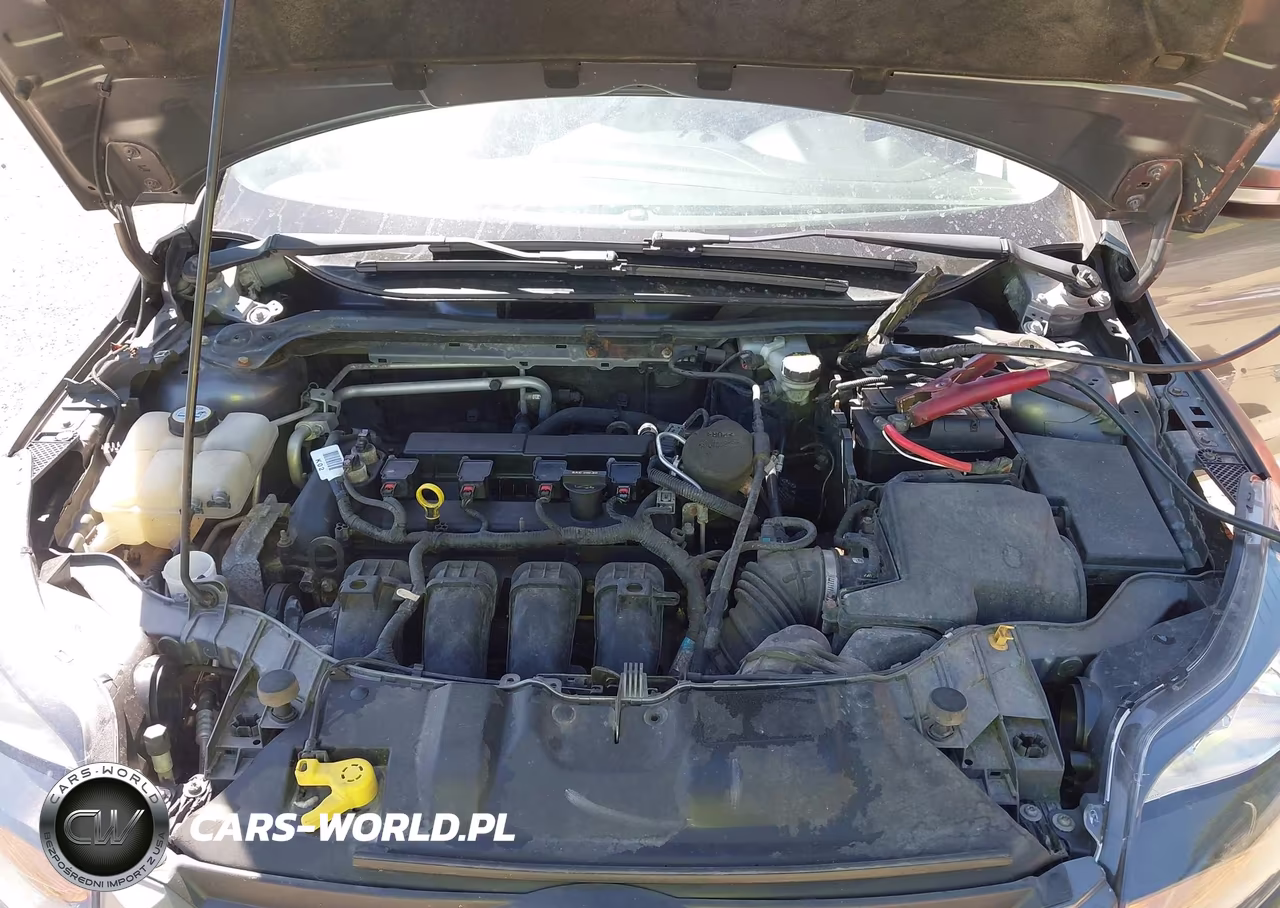 2013 Ford Focus Se VIN:1FADP3F23DL242332 - 10