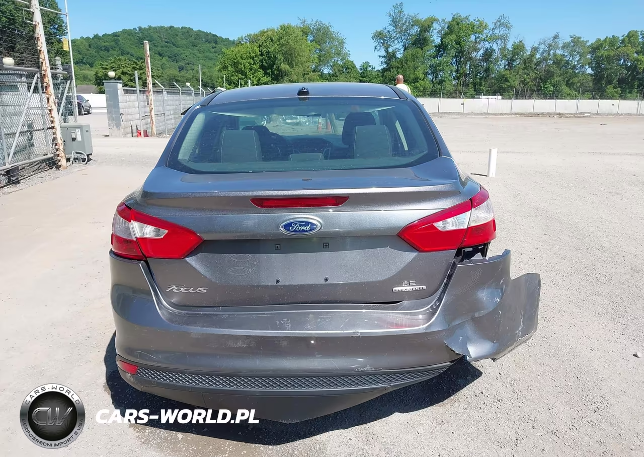 2013 Ford Focus Se VIN:1FADP3F23DL242332 - 17