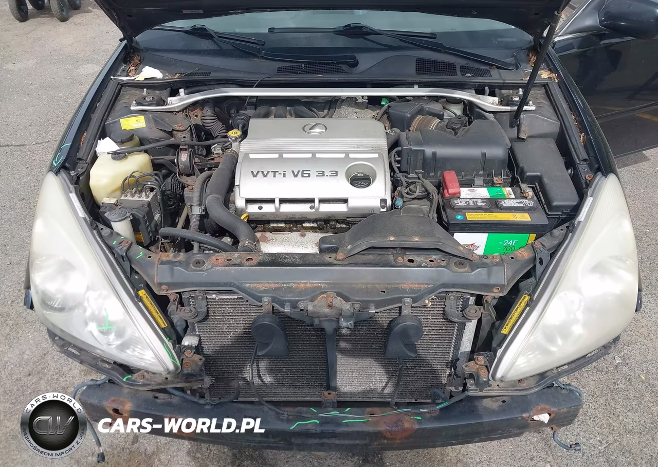 2004 Lexus Es 330 VIN:JTHBA30GX45031297 - 10