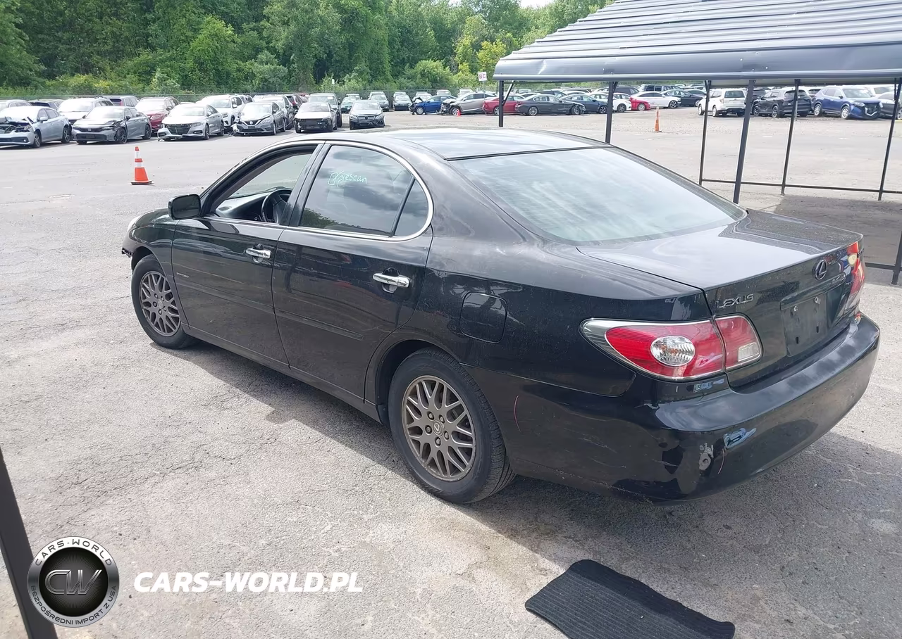 2004 Lexus Es 330 VIN:JTHBA30GX45031297 - 3