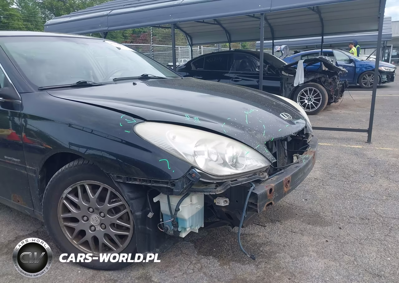 2004 Lexus Es 330 VIN:JTHBA30GX45031297 - 6