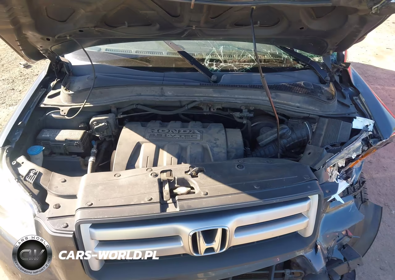 2006 Honda Pilot Ex-L VIN:5FNYF28526B012285 - 10