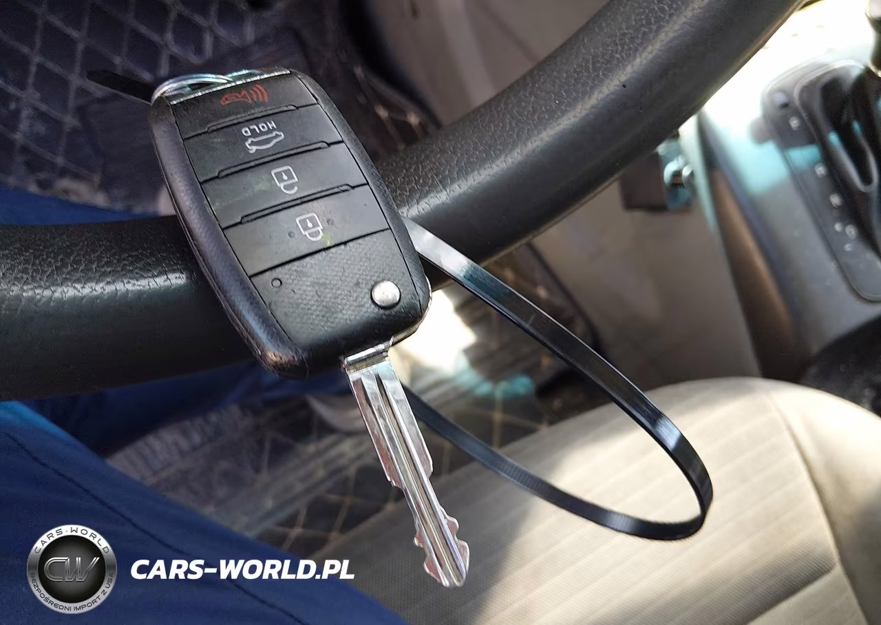2015 Kia Forte Lx VIN:KNAFX4A63F5289819 - 11