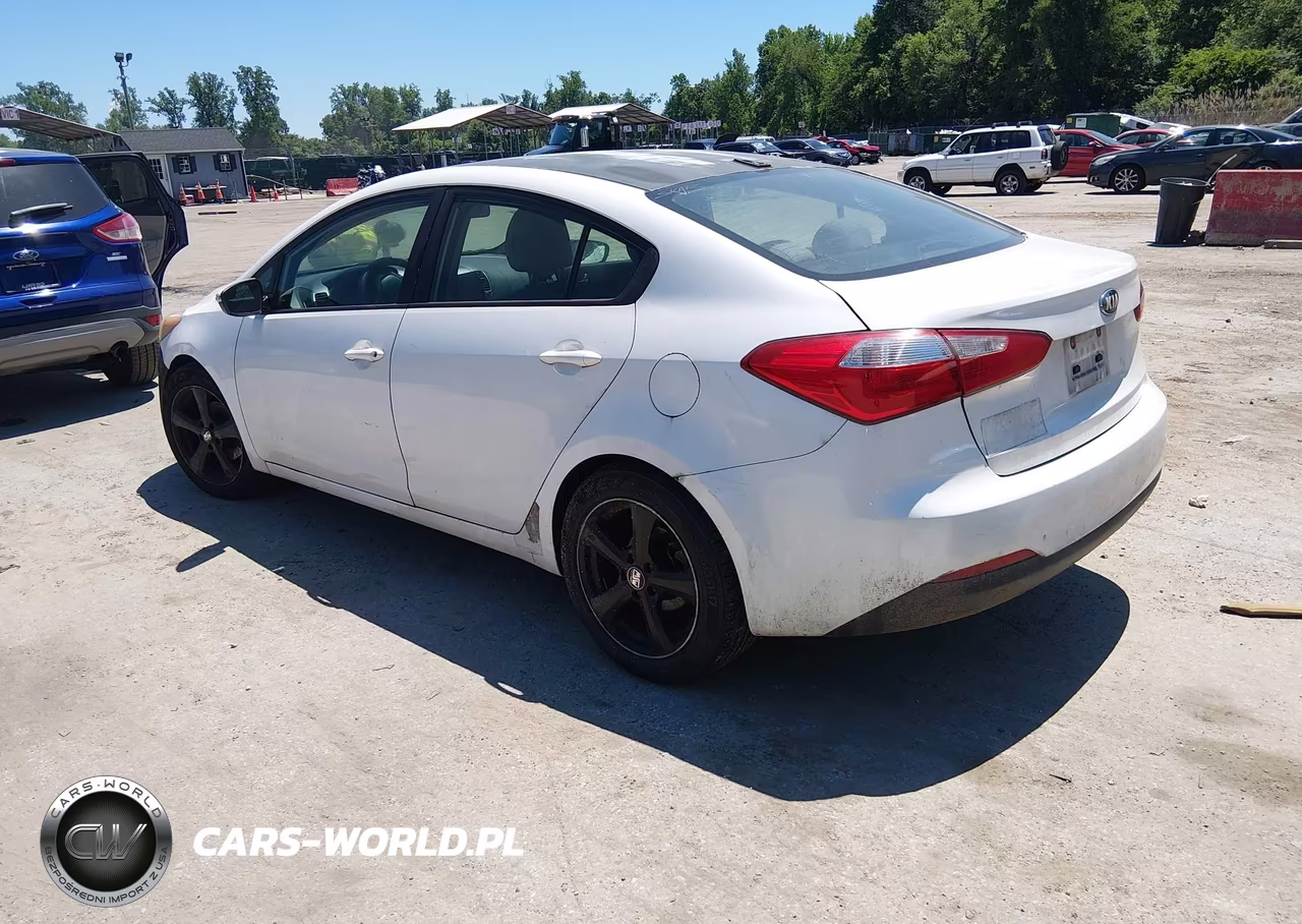 2015 Kia Forte Lx VIN:KNAFX4A63F5289819 - 3