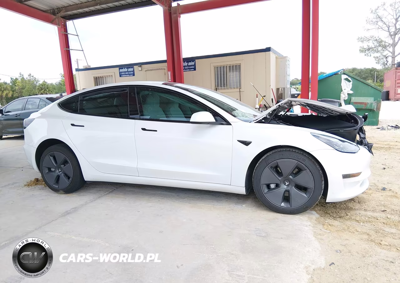 2023 Tesla Model 3 Rear-Wheel Drive VIN:5YJ3E1EAXPF493901 - 11