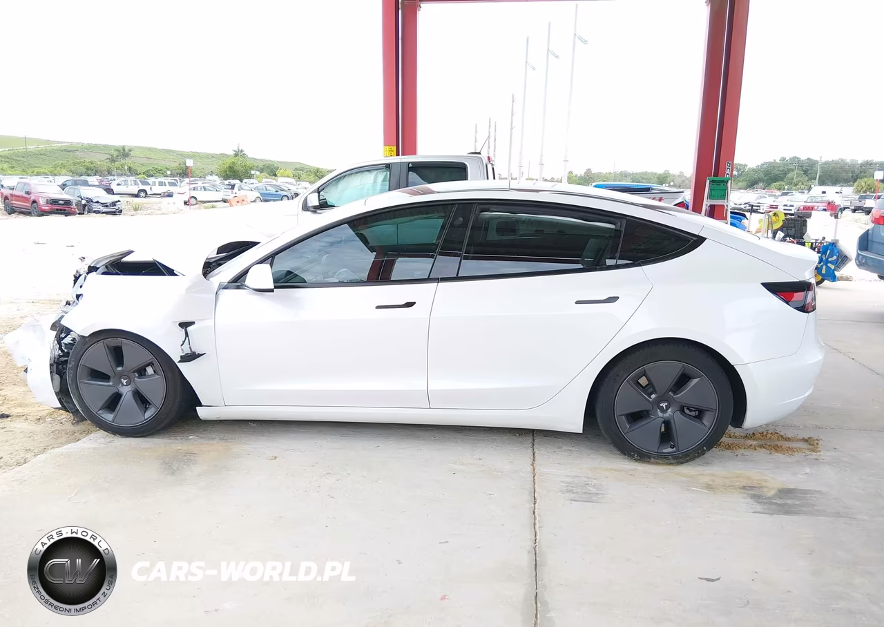 2023 Tesla Model 3 Rear-Wheel Drive VIN:5YJ3E1EAXPF493901 - 12