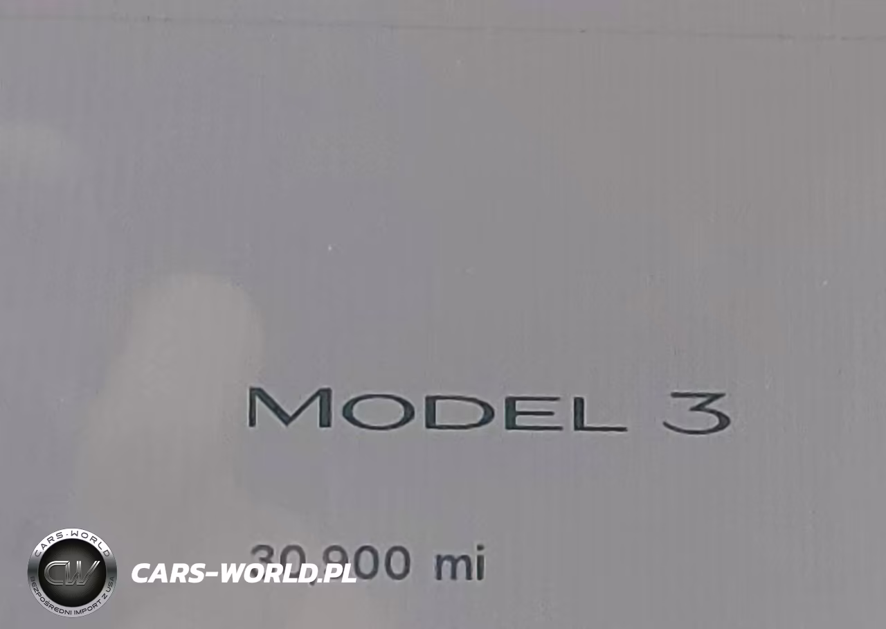 2023 Tesla Model 3 Rear-Wheel Drive VIN:5YJ3E1EAXPF493901 - 13