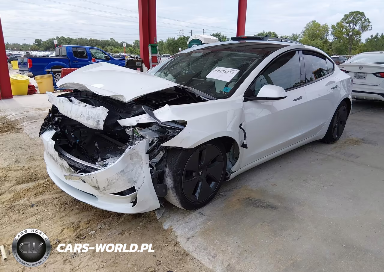2023 Tesla Model 3 Rear-Wheel Drive VIN:5YJ3E1EAXPF493901 - 2