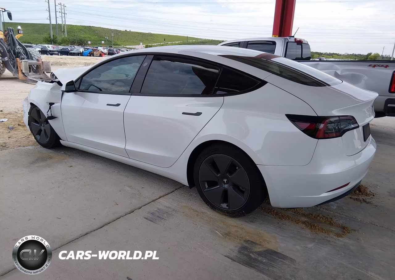 2023 Tesla Model 3 Rear-Wheel Drive VIN:5YJ3E1EAXPF493901 - 3