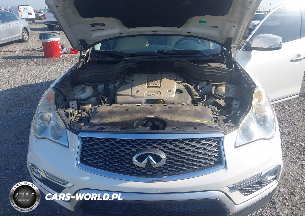 2016 Infiniti Qx50 VIN:JN1BJ0RR2GM265693 - 10