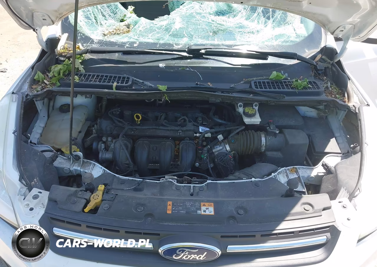2016 Ford Escape Se VIN:1FMCU0G72GUB83954 - 10