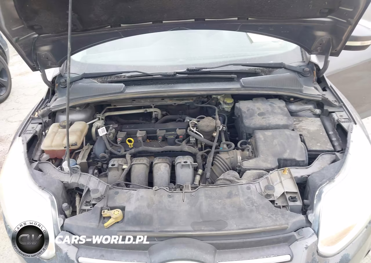 2014 Ford Focus Se VIN:1FADP3K23EL320342 - 10
